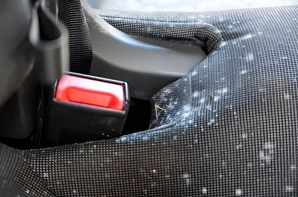 Mold growing on car seat